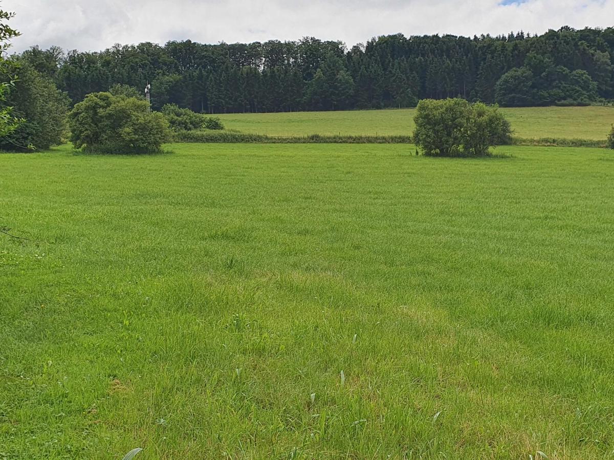 Ferienwohnungen Am Finkenweg 베슈트비크 외부 사진